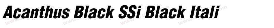 Acanthus Black SSi Black Italic字体转换